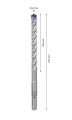 2608900193 (3).png