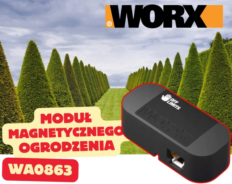 WA0863 4.png