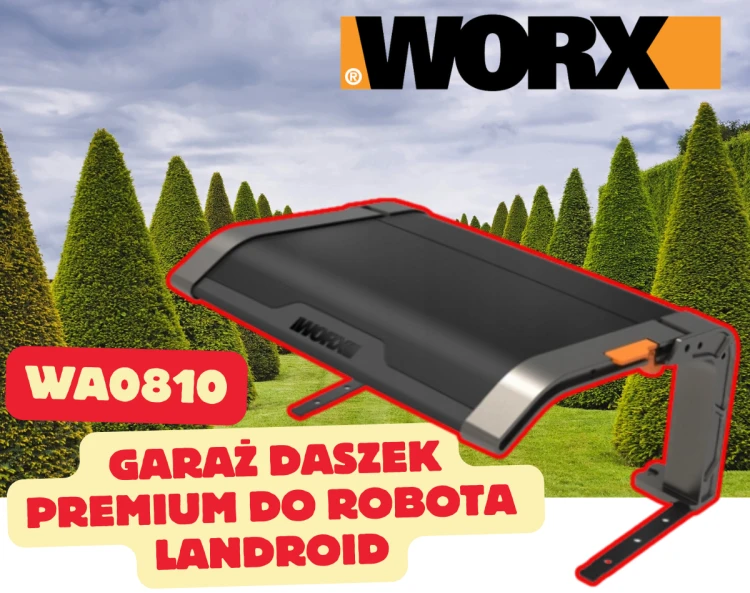 WA0810 5.png