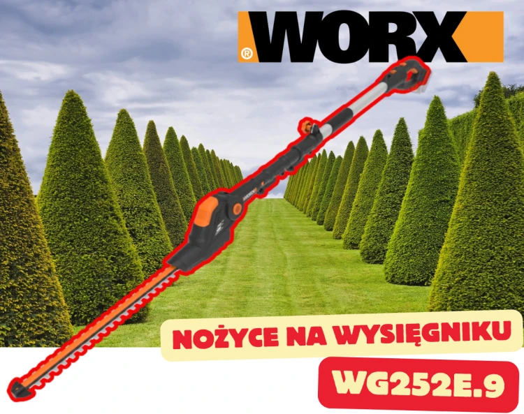 WG252E.9.png