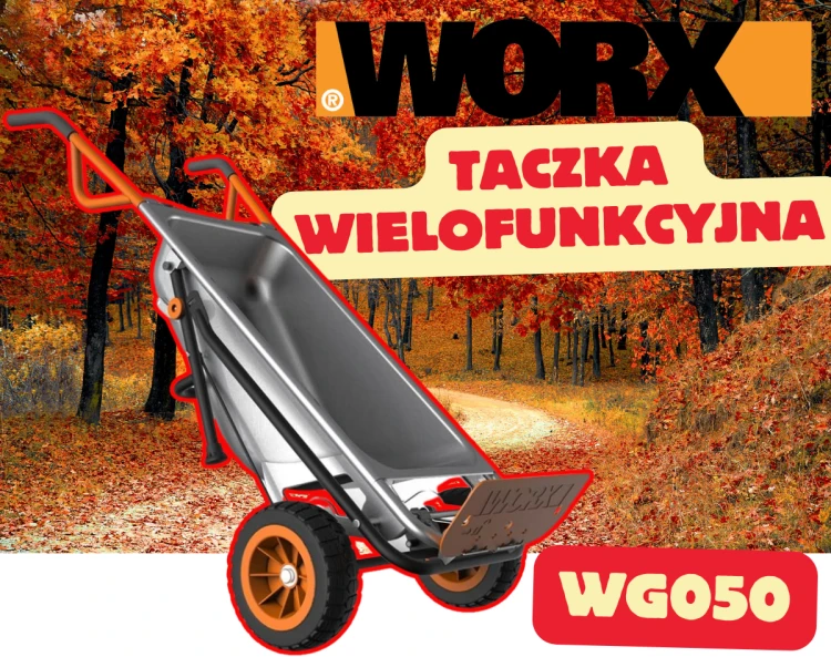 WG050.png