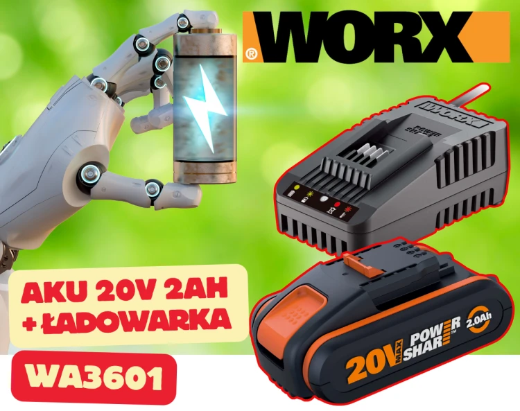 WA3601.png