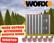 WA0789 3.png