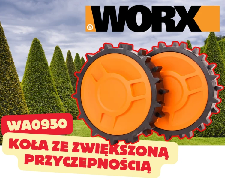 WA0950 2.png