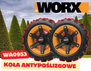 WA0953 2.png