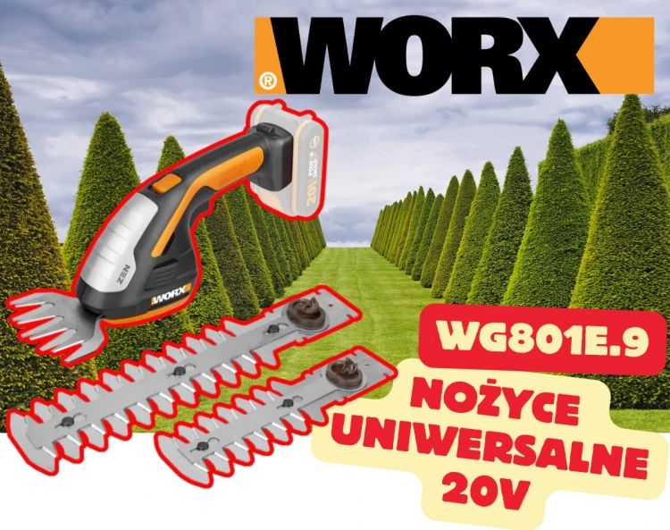 WG801E.9.png