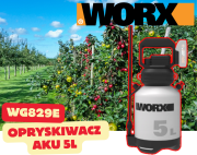 wg829e.png