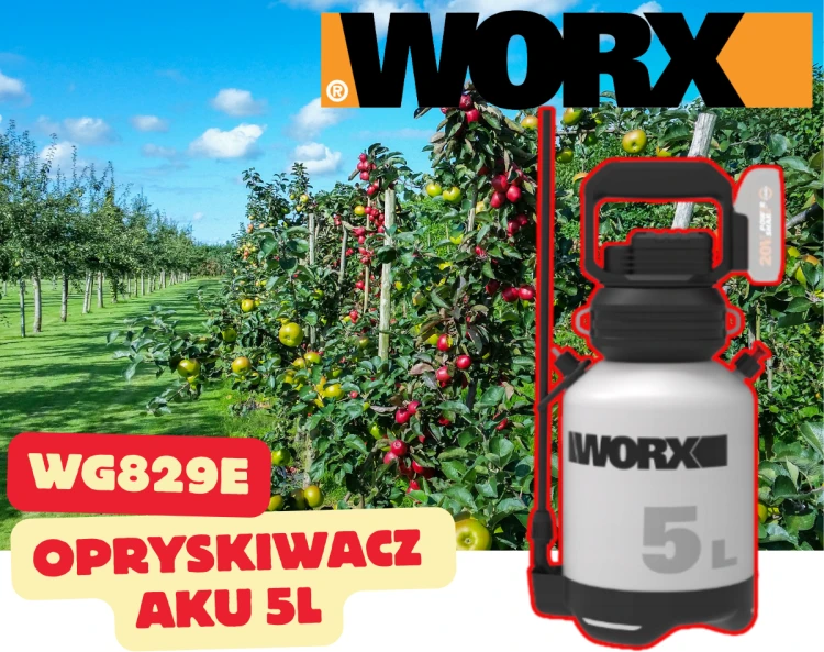 wg829e.png