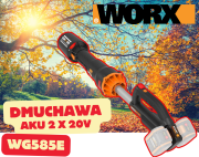 wg585e.png