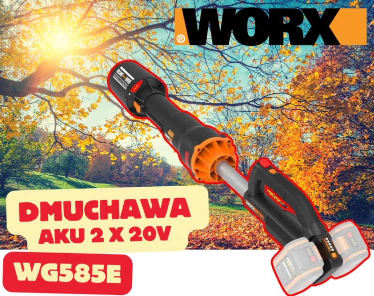 wg585e.png