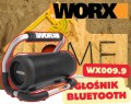 WX009.9.jpg