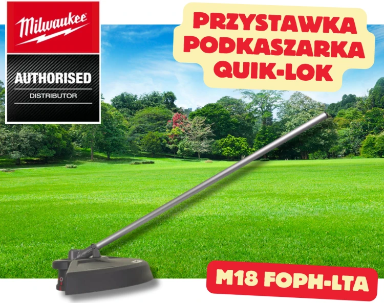 foph-lta.png