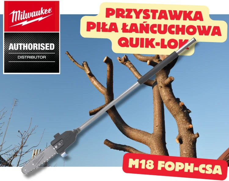 foph-csa.png