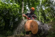 M18_F2CHS50-802--App_1.jpg