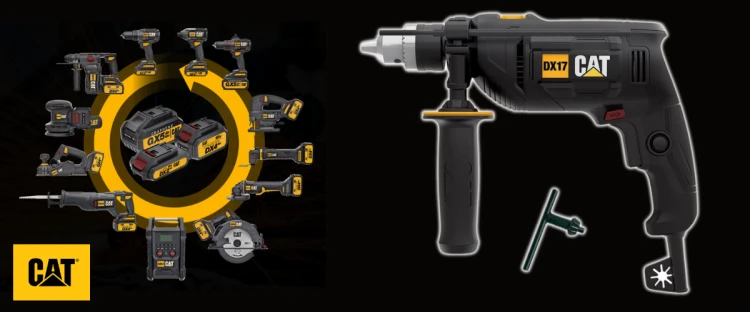 dx17.png