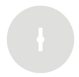 SLW100.1.jpg