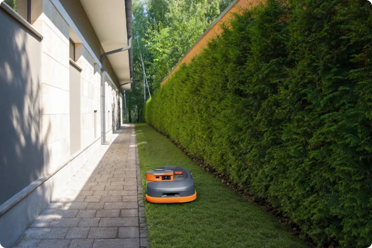 segway H2 001.png