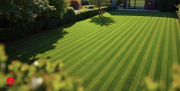 Roborock RockMow Z1 LiDAR-20.png
