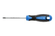 Wkrętak Torx T25 Hogert Technik HT1S056 100 mm ze stali S2 z magnetycznym grotem